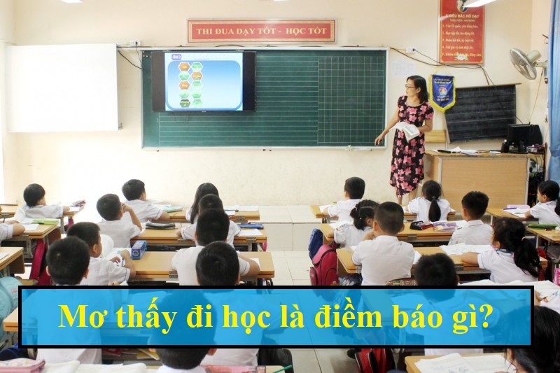 FCB8 Giải mã ý nghĩa giấc mơ thấy đi học